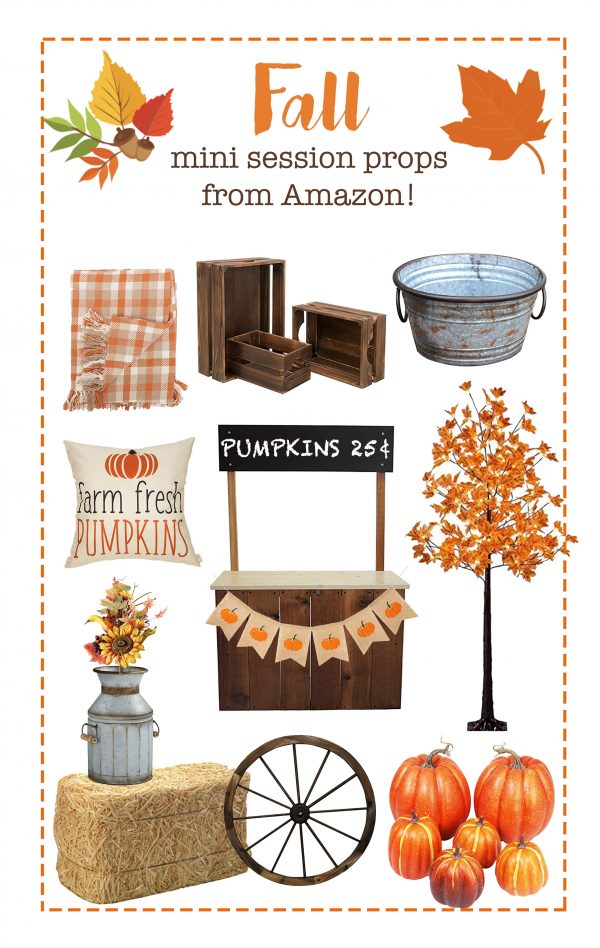 Fall Mini Session Props from Amazon!